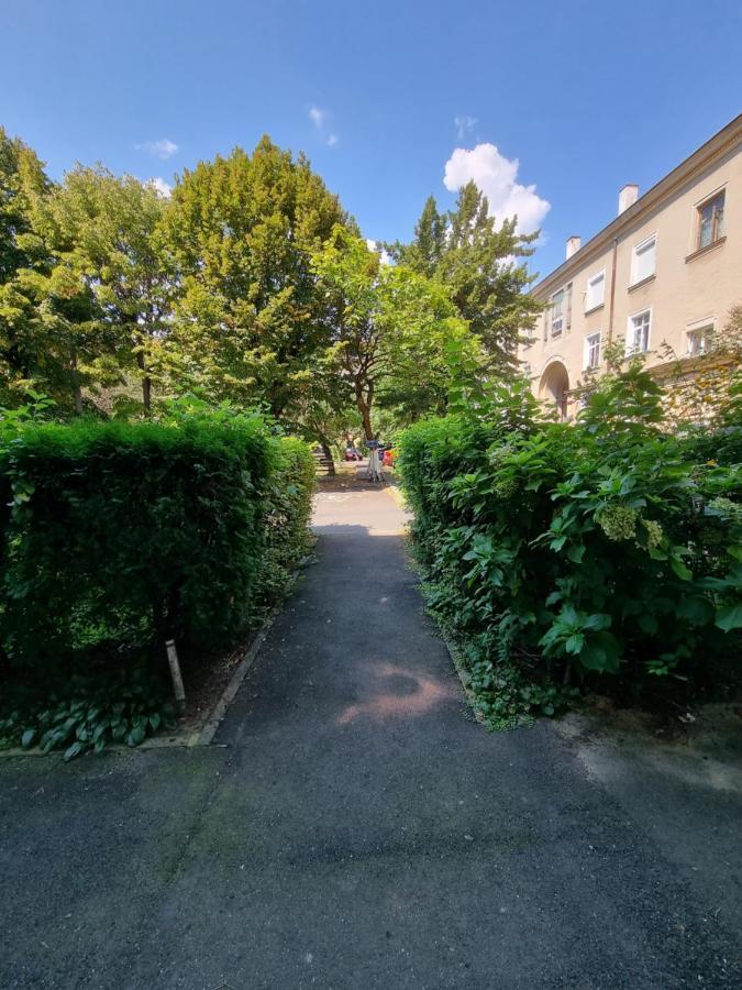 Ultra-Central 1 Bed Apartment, Str Nicolae Iorga Baia Mare Exterior photo
