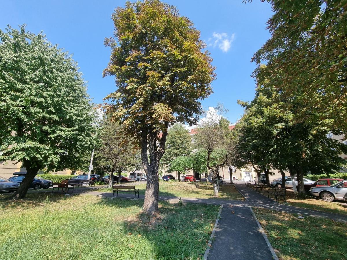 Ultra-Central 1 Bed Apartment, Str Nicolae Iorga Baia Mare Exterior photo