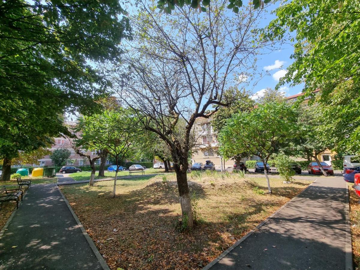 Ultra-Central 1 Bed Apartment, Str Nicolae Iorga Baia Mare Exterior photo